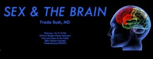sex and the brain
